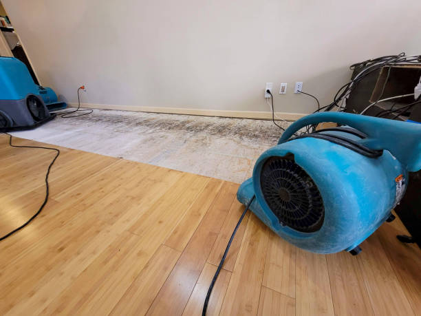 Reliable Basement Flood Cleanup contractor in Nephi, UT by Hirex Water Damage