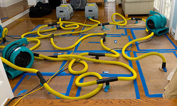 Professional Basement Flood Cleanup technician working in Nephi, UT